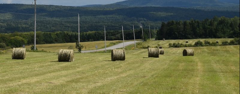 a field with bales of hay in the foreground